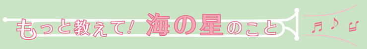 もっと教えて　海の星のこと