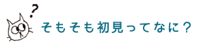 そもそも初見ってなに？