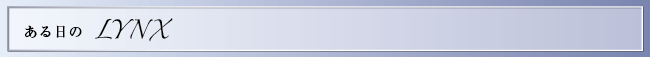 ある日のLYNX