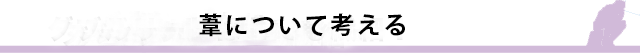 葦について考える