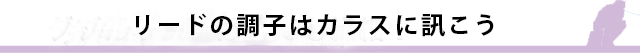 リードの調子はカラスに訊こう