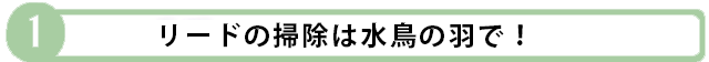リードの掃除は水鳥の羽で