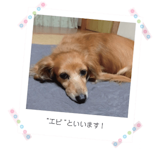 閏間健太の動画でレッスン