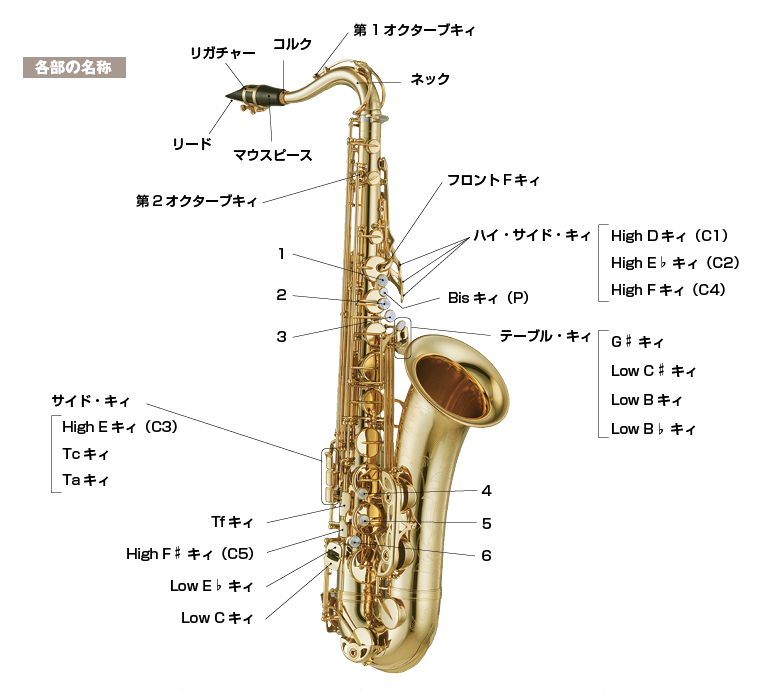 シリーズ徹底検証 楽器編 テナーサックス サックスオンライン